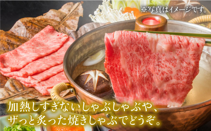 【2026年2月以降発送開始】＜5回定期便＞和牛最高級ブランド佐賀牛 赤身4種スライス食べ比べ 吉野ヶ里町/ミートフーズ華松 [FAY081]