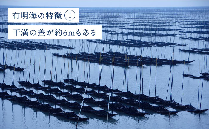 塩佐賀海苔ボトル（10切40枚）2本セット 株式会社サン海苔/吉野ヶ里町  のり[FBC037]