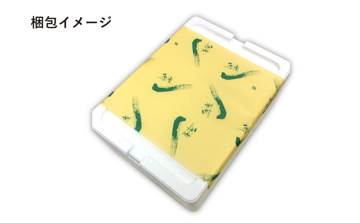 【ジューシーな味わい】佐賀牛 ローストビーフ 約500g （約250g×2本） 吉野ヶ里町/佐賀県農業協同組合 [FBE037]