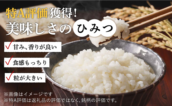 〈受付一時停止中〉【5kg×2回定期便】【令和5年産】さがびより 計10kg（5kg×2）吉野ヶ里町/増田米穀 [FBM030]