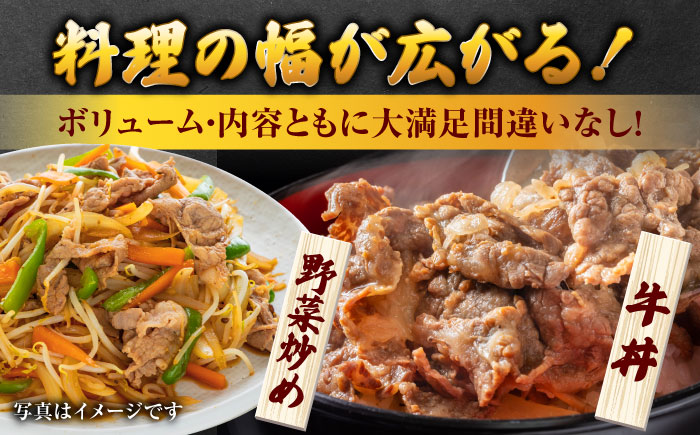 佐賀県産黒毛和牛切り落とし 500g×1P 吉野ヶ里町/石丸食肉産業 [FBX050]