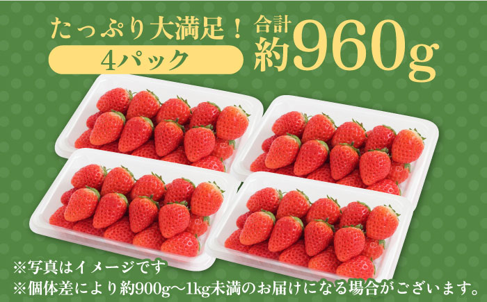 【1月中旬～3月中旬発送】みずみずしい果肉！さがほのかレギュラーパック4P 240g×4 いちご イチゴ 苺 フルーツ 果物 佐賀 吉野ヶ里町/リエンサーク [FCC001]