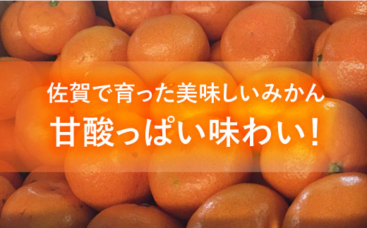 【10月上旬頃～1月上旬発送】こたつで美味しいみかんを♪ 佐賀県産 中生みかん 5kg  みかん ミカン 蜜柑 フルーツ ふるーつ 果物 くだもの 吉野ヶ里町/リエンサーク [FCC010]