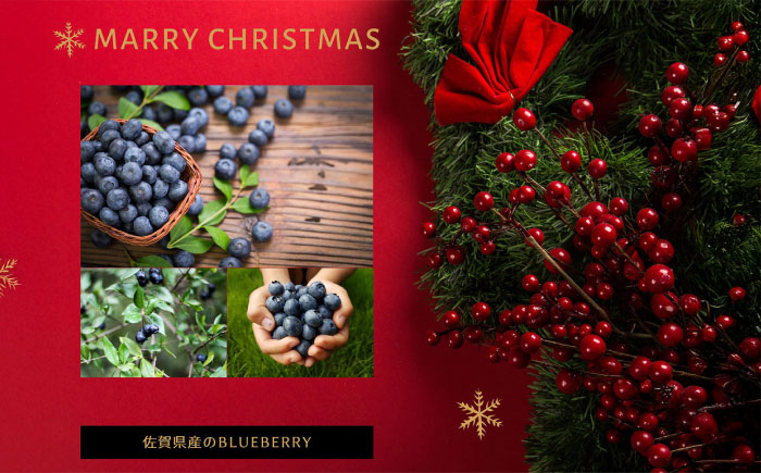 【限定50個】クリスマス限定☆植物性100％ Vegan Raw Cake blueberry（ブルーベリー/Mサイズ）お砂糖・小麦粉・乳製品不使用のスイーツ ヴィーガンローケーキ 【12月20～25日お届け】 吉野ヶ里町/どんどん良くなる [FCF071]