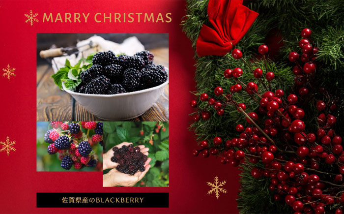 【限定50個】クリスマス限定☆植物性100％ Vegan Raw Cake Double berry（ブルーベリー＆ブラックベリー/Mサイズ）お砂糖・小麦粉・乳製品不使用のスイーツ ヴィーガンローケーキ 【12月20～25日お届け】 吉野ヶ里町/どんどん良くなる [FCF072]