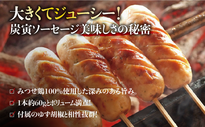 【贈答用】≪人気商品をセットで！≫みつせ鶏つくね6個・みつせ鶏ソーセージ6本ギフトセット 吉野ヶ里町/炭寅コーポレーション[FCI005]