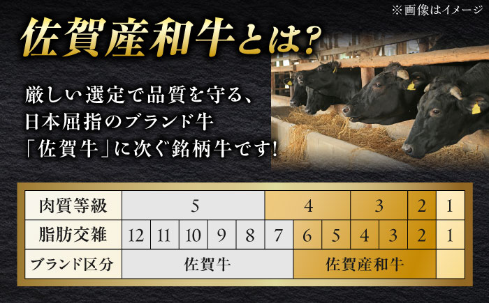 【全6回定期便】佐賀産和牛 牛タンしゃぶしゃぶセット 500g 計3kg 吉野ヶ里町/やきとり紋次郎 [FCJ060]