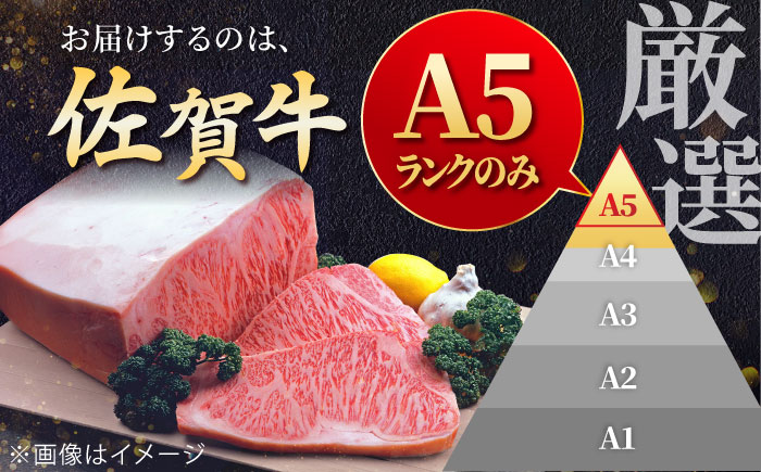 ＜ワンランク上の切り落とし＞佐賀牛 A5 ランク切り落とし 1kg（200g×5） 吉野ヶ里町 /meat shop FUKU 切り落とし[FCX001]