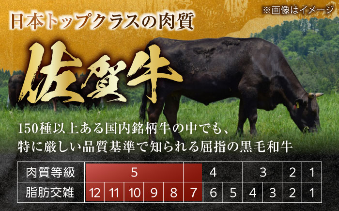 この上ない美味しさ！佐賀牛 A4 A5等級 ヒレステーキ 300g （150g×2）2人前 吉野ヶ里町/NICK’S MEAT ステーキ[FCY005]