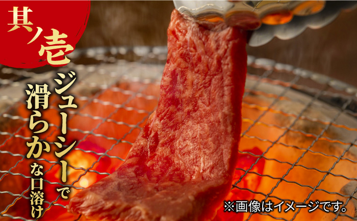 佐賀牛 カルビ 焼肉用 500g 吉野ヶ里町/NICK’S MEAT [FCY010]