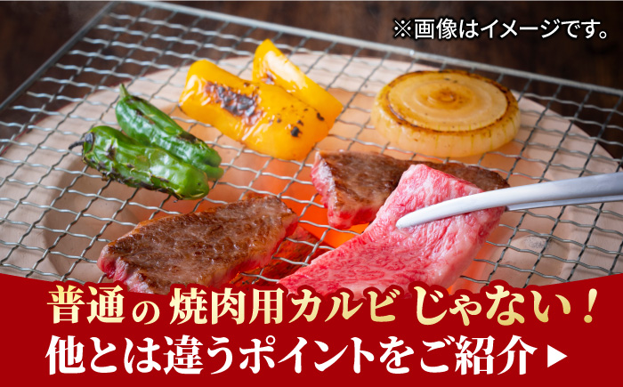 佐賀牛 カルビ 焼肉用 500g×2 計1kg 吉野ヶ里町/NICK’S MEAT [FCY011]