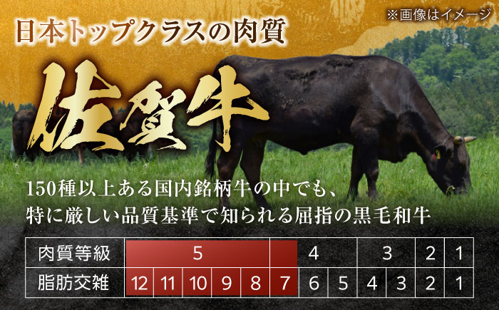 【一口で広がる贅沢な旨味！】　佐賀牛 A4 A5等級 ヒレ サイコロステーキ 450g 吉野ヶ里町/NICK’S MEAT ステーキ[FCY039]