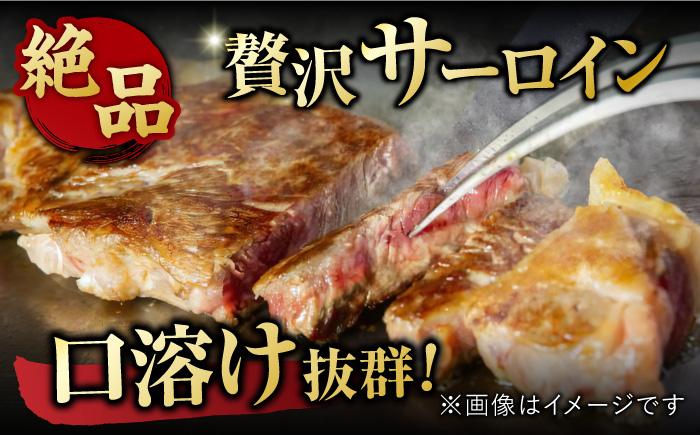 艶さし！ 佐賀牛 ヒレステーキ＆サーロインステーキ 食べ比べ セット 計400g  （ヒレ150g×1枚・サーロイン250g×1枚） 吉野ヶ里町 ステーキ[FDB022]
