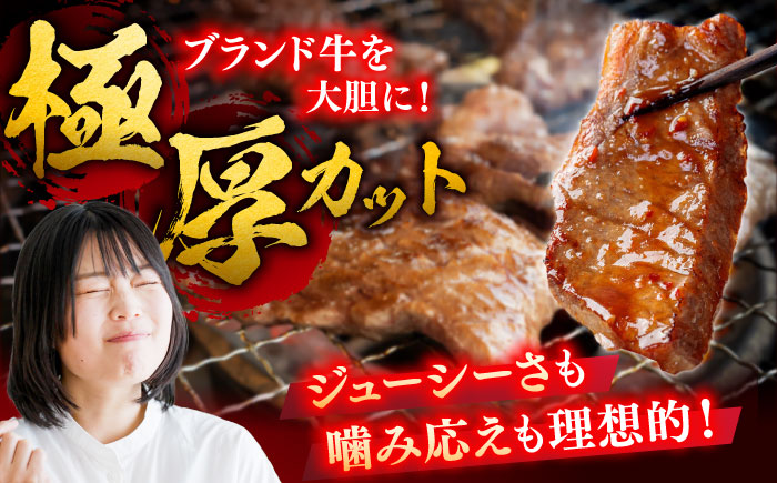 【6回定期便】 艶さし！ 佐賀牛 焼肉用 計3kg （500g×6回）  ※バラ・肩ロース・モモのいずれかの部位※ 吉野ヶ里町 [FDB034]