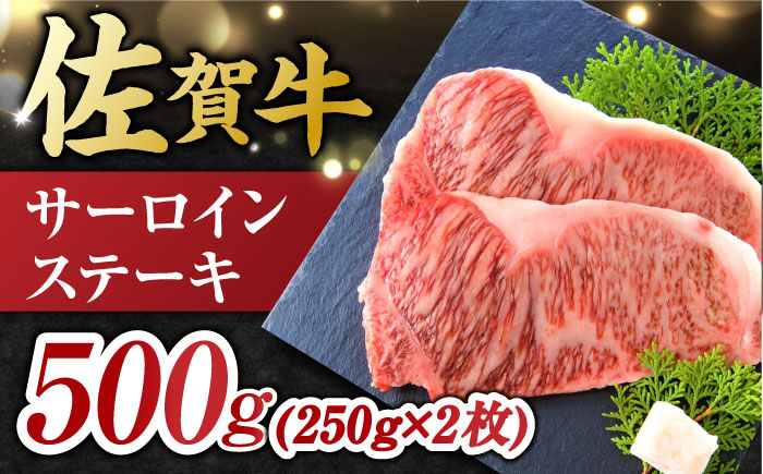 【12回定期便】佐賀牛 ヒレステーキ＆サーロインステーキ 食べ比べ セット 計9.6kg  （ヒレ150g・サーロイン250g×各2枚×12回） 吉野ヶ里町 [FDB038]
