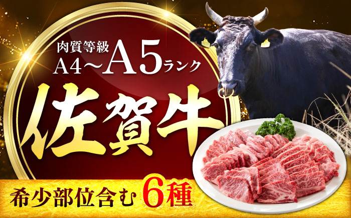 艶さし！【A4～A5】希少部位!佐賀牛おまかせ焼肉6種盛りセット 吉野ヶ里町/株式会社MEAT PLUS [FDB078]