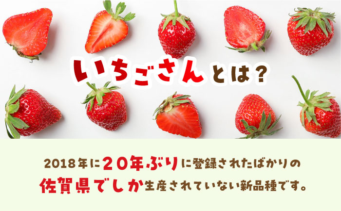 【1月～3月発送】【全3回定期便】いちごさん 計1kg以上（約250g×4P） 吉野ヶ里町/TZファーム いちご[FDF002]