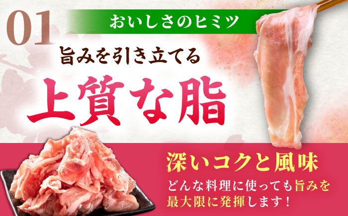 肥前さくらポーク 切り落とし 500g × 6パック 計 3kg 切り落とし 豚 豚肉 大容量 吉野ヶ里町/上場食肉 [FDQ007]