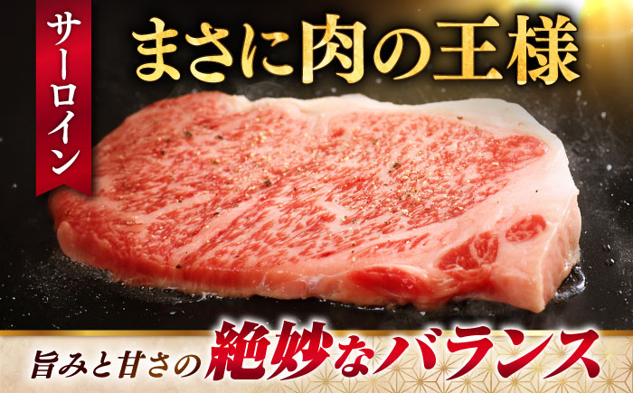 極上 佐賀牛 赤身 A5 サーロイン ステーキ 250g × 2枚 サーロインステーキ ロースステーキ 吉野ヶ里町/KRAZY MEAT [FDR002]