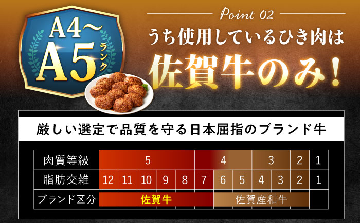 100％佐賀牛！佐賀牛デミハンバーグ 150g×10個 吉野ヶ里町/株式会社博多漁師の里 [FDV001]
