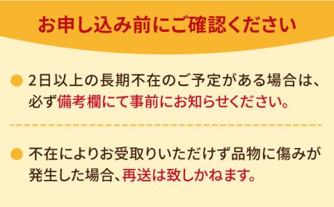 【1月中旬～3月中旬発送】みずみずしい果肉！さがほのか平パック4P 約1kg いちご 佐賀県産 佐賀県 イチゴ パック 吉野ヶ里町/リエンサーク [FCC002]