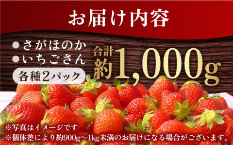 【1月中旬～2月中旬発送】佐賀県自慢の2種！さがほのか＆いちごさん 平パック4P 約1kg いちご 果物 旬 イチゴ 苺 フルーツ 佐賀県産 佐賀産 佐賀 吉野ヶ里町/リエンサーク [FCC004]
