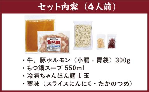 九州産もつ鍋セット(２人分）吉野ヶ里町/三田川ホルモン[FAC002]