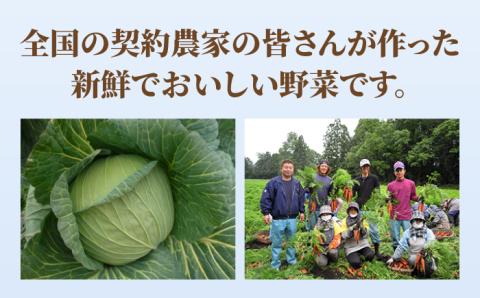 【スピード発送！】リンガーハット ちゃんぽん 8食セット あの人気店の味をおうちで！| チャンポン 冷凍 国産 ちゃんぽん麺 冷凍 | 吉野ケ里町/リンガーフーズ[FBI002]