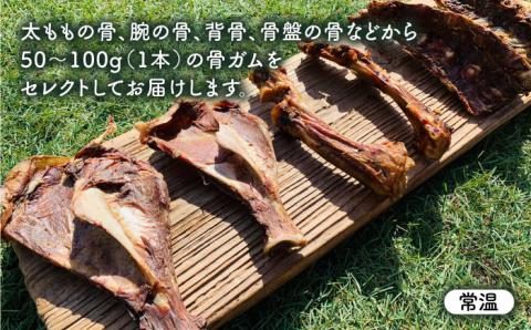 中型犬向け☆天然いのししのスモーク骨ガム4本 吉野ヶ里町/わんこin食堂 ペットフード[FCG054]