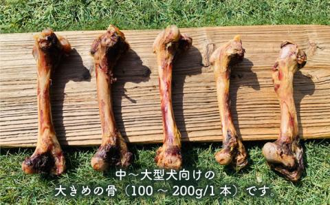 大型犬向け☆天然いのししのスモーク骨ガム3本【わんこin食堂】 [FCG052]