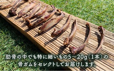 超小型犬向け☆天然いのししのスモーク骨ガム100g わんこin食堂/吉野ヶ里町 [FCG061]