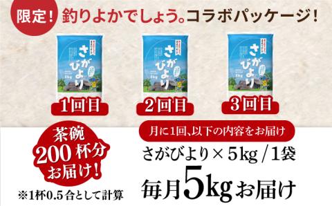 〈受付一時停止中〉【数量限定】【3回定期便】【令和5年産】さがびより 計15kg（5kg×3回）吉野ヶ里町/増田米穀 [FBM036]