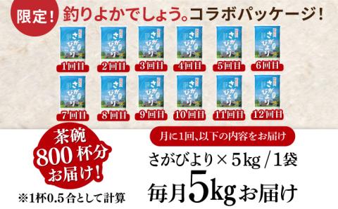 〈受付一時停止中〉【5kg×12回定期便】【令和5年産】さがびより 計60kg（5kg×12回）吉野ヶ里町/増田米穀 [FBM004]