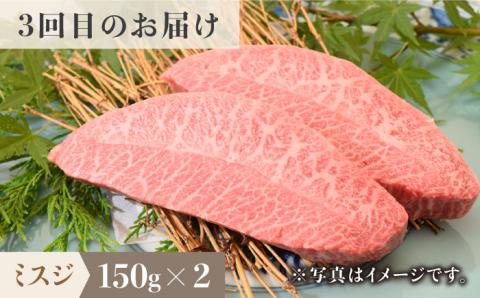 【2026年2月以降発送開始】＜3回定期便＞佐賀牛希少部位含む～ひとり贅沢ステーキコース～ イチボ/ランプ/ミスジ 吉野ヶ里町/ミートフーズ華松[FAY068]