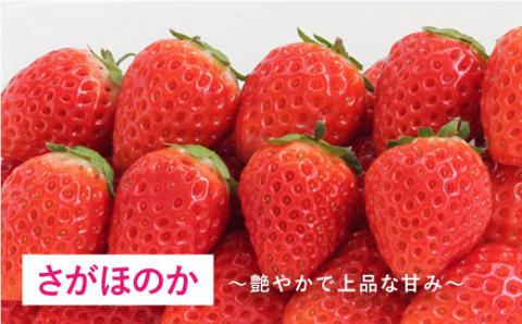 【1月～3月にお届け・3回定期便】さがほのか・いちごさん（1回4P約1kg） イチゴ いちご 苺 フルーツ 果物 佐賀県産 佐賀産 旬 吉野ヶ里町/リエンサーク [FCC005]