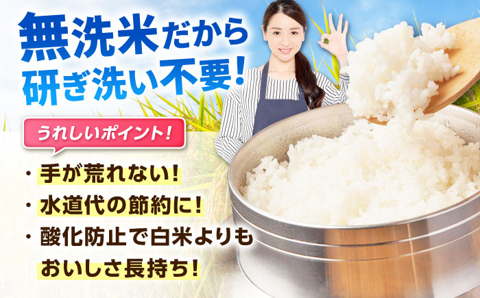 【令和7年産】特A獲得！さがびより 無洗米 6kg（3kg×2袋） 吉野ヶ里町/大塚米穀店 お米[FCW026]