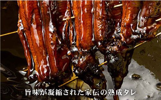 【6回定期便】こだわりの国産うなぎ蒲焼・白焼3枚セット（鰻蒲焼2枚・白焼1枚）【丸安】 [FAD004]
