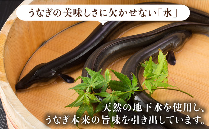 ふっくらジューシーのこだわりうなぎ【6回定期便】国産うなぎ蒲焼・白焼 計6枚セット（うなぎ蒲焼3枚・白焼3枚）×6回【丸安】 [FAD011]