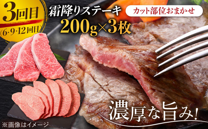 【2026年2月以降発送開始】【全12回】旨みじゅわ?♪佐賀牛 霜降り定期便 総計12kg【ミートフーズ華松】 [FAY024]