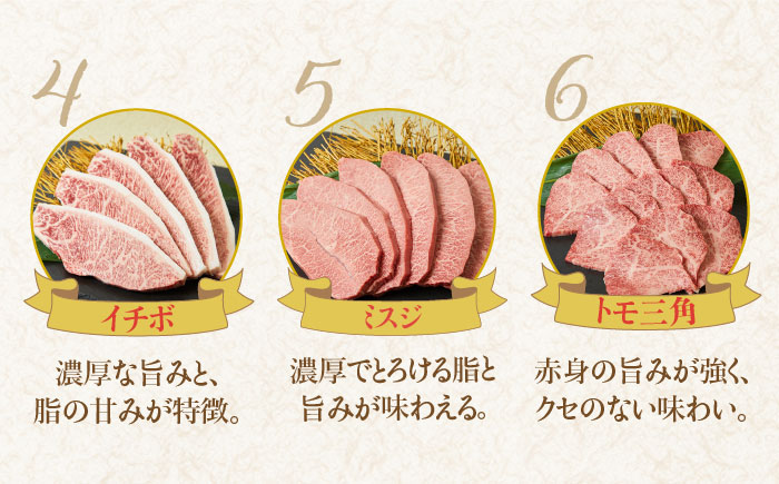 最高級和牛をたっぷり大容量♪佐賀牛希少部位おまかせ9種堪能セット1800g（9種×200g）【ミートフーズ華松】 [FAY042]
