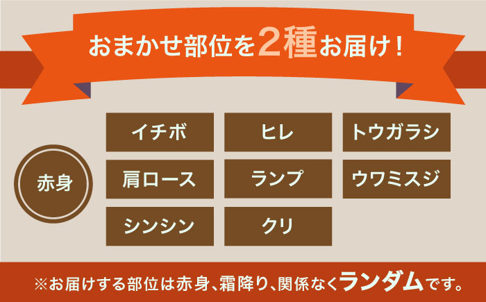 【2026年2月以降発送開始】＜6回定期便＞1ヶ月に1度の佐賀牛ひとり贅沢コース ステーキ/焼肉/スライス【ミートフーズ華松】 [FAY066]