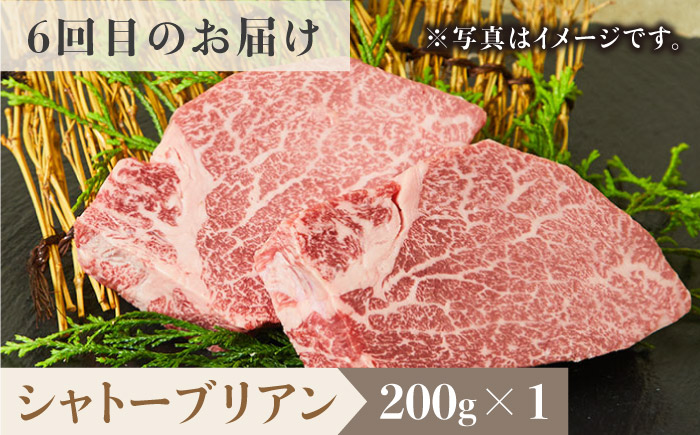 【2026年2月以降発送開始】＜6回定期便＞佐賀牛希少部位～ひとり贅沢ステーキコース～ イチボ/ランプ/ミスジ/クリ/サーロイン/シャトーブリアン 吉野ヶ里町/ミートフーズ華松[FAY069]