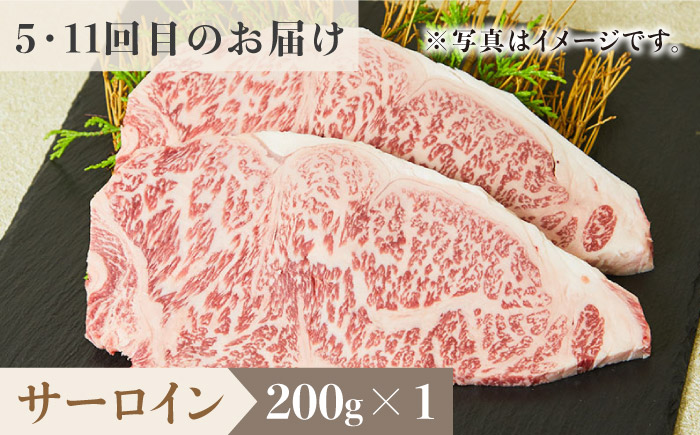 【2026年2月以降発送開始】＜12回定期便＞佐賀牛希少部位～ひとり贅沢ステーキコース～ イチボ/ランプ/ミスジ/クリ/サーロイン/シャトーブリアン【ミートフーズ華松】 [FAY070]