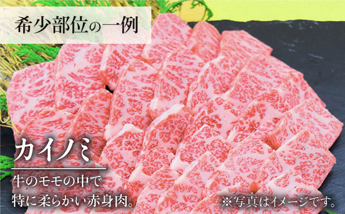 【2026年2月以降発送開始】＜12回定期便＞佐賀牛希少部位含む～ひとり贅沢焼肉コース～ ランプ/クリ/トウガラシ/ザブトン/カイノミなど【ミートフーズ華松】 [FAY073]