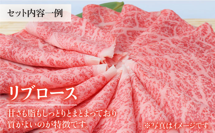 【2026年2月以降発送開始】＜全4回定期便＞和牛最高級ブランド佐賀牛 赤身＆霜降り スライス食べ比べセット 吉野ヶ里町/ミートフーズ華松 [FAY078]