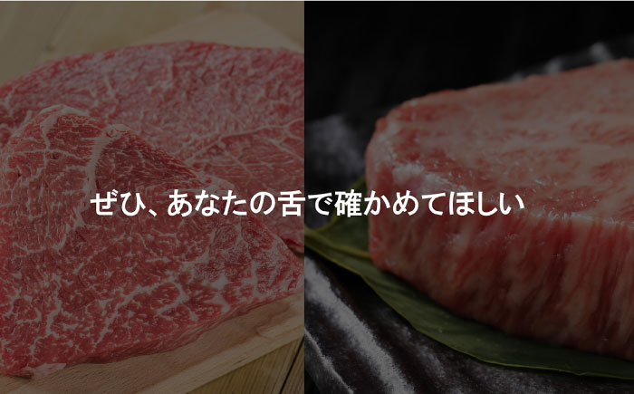 【計5回】ステーキで豪華に彩る佐賀牛バリエーションステーキ定期便 [FAZ040]