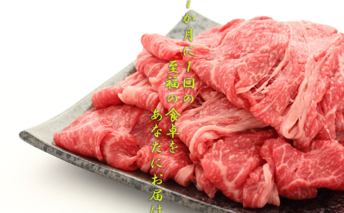 【1年間】冷蔵庫にあって困らない！高級切り落とし、佐賀牛定期便 [FAZ041]