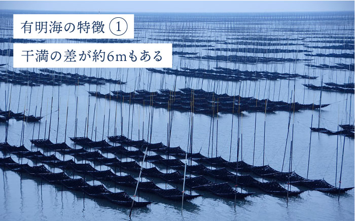 【味付けのり】佐賀海苔 吉野ヶ里30束（10切5枚30袋） 株式会社サン海苔/吉野ヶ里町  のり[FBC045]