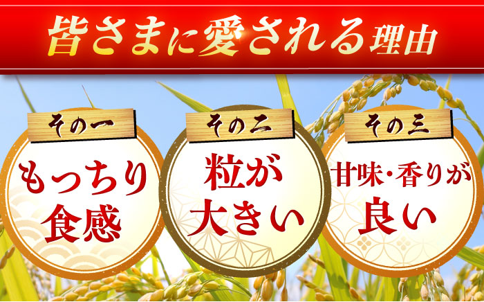 【5kg×3回定期便】【令和7年産】さがびより 計15kg（5kg×3回）吉野ヶ里町/増田米穀 [FBM002]