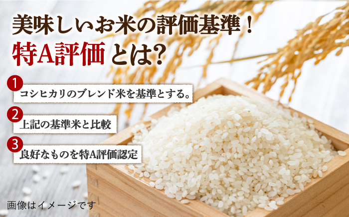 〈受付一時停止中〉【5kg×2回定期便】【令和5年産】さがびより 計10kg（5kg×2）吉野ヶ里町/増田米穀 [FBM030]